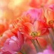 ヒメ日記 2025/09/13 19:08 投稿 れみか 待ちナビ