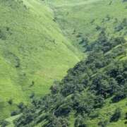 ヒメ日記 2025/09/13 21:05 投稿 れみか 待ちナビ