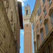 ヒメ日記 2025/09/20 17:15 投稿 れみか 待ちナビ