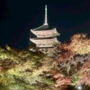 ヒメ日記 2025/11/14 16:00 投稿 れみか 待ちナビ