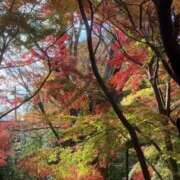 ヒメ日記 2025/12/06 15:55 投稿 れみか 待ちナビ