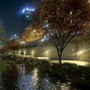 ヒメ日記 2025/12/10 18:29 投稿 れみか 待ちナビ