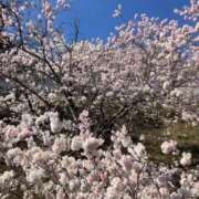 ヒメ日記 2026/03/27 11:43 投稿 れみか 待ちナビ