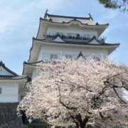 ヒメ日記 2026/03/30 08:55 投稿 れみか 待ちナビ