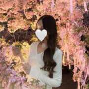 ヒメ日記 2025/03/15 20:00 投稿 白浜まどか BLENDA V.I.P東京店