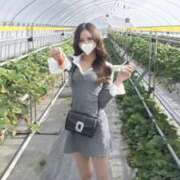 ヒメ日記 2025/04/10 20:01 投稿 白浜まどか BLENDA V.I.P東京店