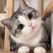 ヒメ日記 2025/11/25 23:36 投稿 ゆきな One More奥様　横浜関内店