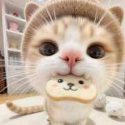 ゆきな いてるよ🐈‍⬛⸒⸒⸒⸒🐾 One More奥様　横浜関内店