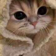 ヒメ日記 2026/01/19 13:05 投稿 ゆきな One More奥様　横浜関内店