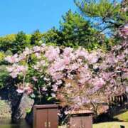 ヒメ日記 2025/04/06 12:02 投稿 らら 秘密倶楽部 凛 錦糸町店