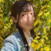 ヒメ日記 2025/03/24 13:14 投稿 月雪あお ブルーバード