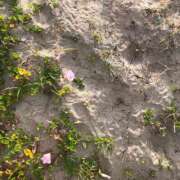 ヒメ日記 2025/07/28 21:39 投稿 唯菜【ゆいな】 丸妻 西船橋店