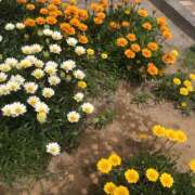 ヒメ日記 2025/08/14 22:06 投稿 唯菜【ゆいな】 丸妻 西船橋店