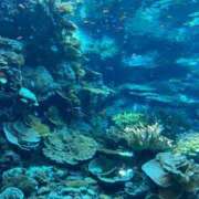 ヒメ日記 2026/02/17 23:12 投稿 ひかり 沖縄素人図鑑