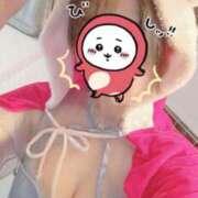 ヒメ日記 2024/12/20 06:20 投稿 まお スイカ