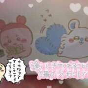 ヒメ日記 2024/12/29 18:06 投稿 まお スイカ