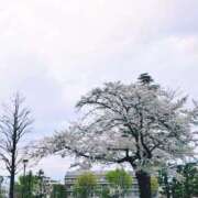 ヒメ日記 2025/04/03 02:21 投稿 まお スイカ