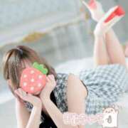 ヒメ日記 2025/04/28 12:20 投稿 まお スイカ