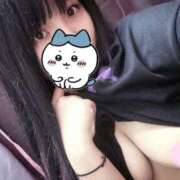 ヒメ日記 2024/12/11 13:17 投稿 北口メレ 奴隷志願！変態調教飼育クラブ本店