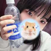 ヒメ日記 2026/03/19 16:36 投稿 北口メレ 奴隷志願！変態調教飼育クラブ本店