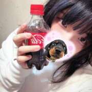 ヒメ日記 2026/03/19 17:15 投稿 北口メレ 奴隷志願！変態調教飼育クラブ本店