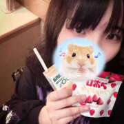 北口メレ ありがとう😊 奴隷志願！変態調教飼育クラブ本店