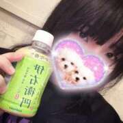 北口メレ ありがとう😊 奴隷志願！変態調教飼育クラブ本店