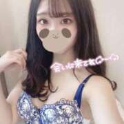 ヒメ日記 2024/12/30 12:24 投稿 ひめの 浜松ハンパじゃない学園