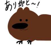 ヒメ日記 2025/04/14 16:43 投稿 ことり（超キス魔・・・激かわ！ ハニービー（Honey Bee）