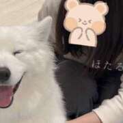 ヒメ日記 2024/12/15 18:51 投稿 ほたる マダムの品格