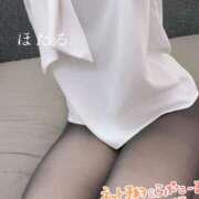 ヒメ日記 2024/12/26 08:45 投稿 ほたる マダムの品格