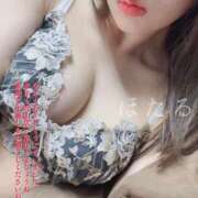 ヒメ日記 2024/12/31 17:01 投稿 ほたる マダムの品格