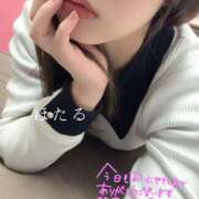 ヒメ日記 2025/01/04 23:53 投稿 ほたる マダムの品格