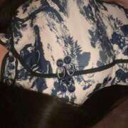 ヒメ日記 2025/02/19 19:00 投稿 めい　最高峰清楚系美少女 ドラゴンhand