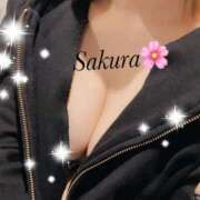 ヒメ日記 2025/02/08 19:58 投稿 さくら EIGHT（エイト）～8つのお約束と無限の可能性～