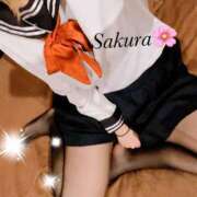 ヒメ日記 2025/03/20 20:40 投稿 さくら EIGHT（エイト）～8つのお約束と無限の可能性～