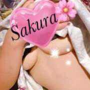 ヒメ日記 2025/12/16 16:10 投稿 さくら EIGHT（エイト）～8つのお約束と無限の可能性～