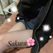 ヒメ日記 2026/02/19 21:48 投稿 さくら EIGHT（エイト）～8つのお約束と無限の可能性～