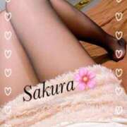 ヒメ日記 2026/03/16 16:18 投稿 さくら EIGHT（エイト）～8つのお約束と無限の可能性～