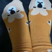 ヒメ日記 2026/01/22 23:14 投稿 りこ 熟女の風俗最終章 仙台店