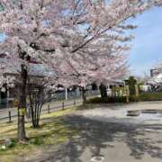 ヒメ日記 2026/04/17 01:14 投稿 りこ 熟女の風俗最終章 仙台店