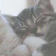 青柳ねる 次の出勤は22日予定です? 五反田 必要以上のエステ（シンデレラグループ）