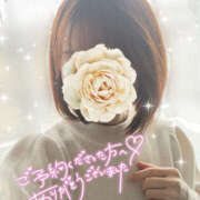 ヒメ日記 2025/01/17 23:01 投稿 いずみ プレジデントオアシス