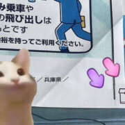 ヒメ日記 2025/03/09 12:15 投稿 いずみ プレジデントオアシス