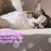 ヒメ日記 2025/03/16 16:01 投稿 いずみ プレジデントオアシス