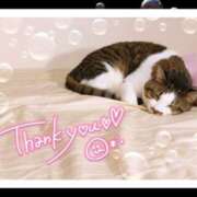 ヒメ日記 2025/03/21 22:28 投稿 いずみ プレジデントオアシス