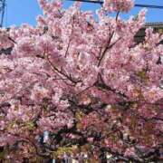 亜美-あみ こんにちは😊 熟女10000円デリヘル 川崎