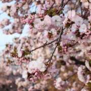 ヒメ日記 2026/04/01 15:54 投稿 亜美-あみ 熟女10000円デリヘル 川崎