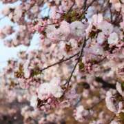 ヒメ日記 2026/03/30 12:55 投稿 亜美-あみ 熟女10000円デリヘル横浜