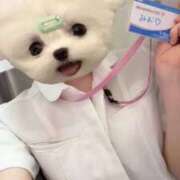 ヒメ日記 2025/03/03 10:53 投稿 みお 横浜しこたまクリニック